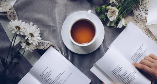 8 Books To Inspire Sustainable Living In 2023