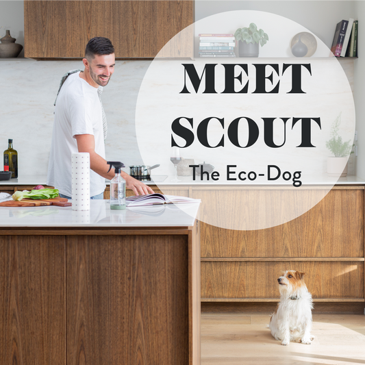 Meet Scout; The Eco-Dog