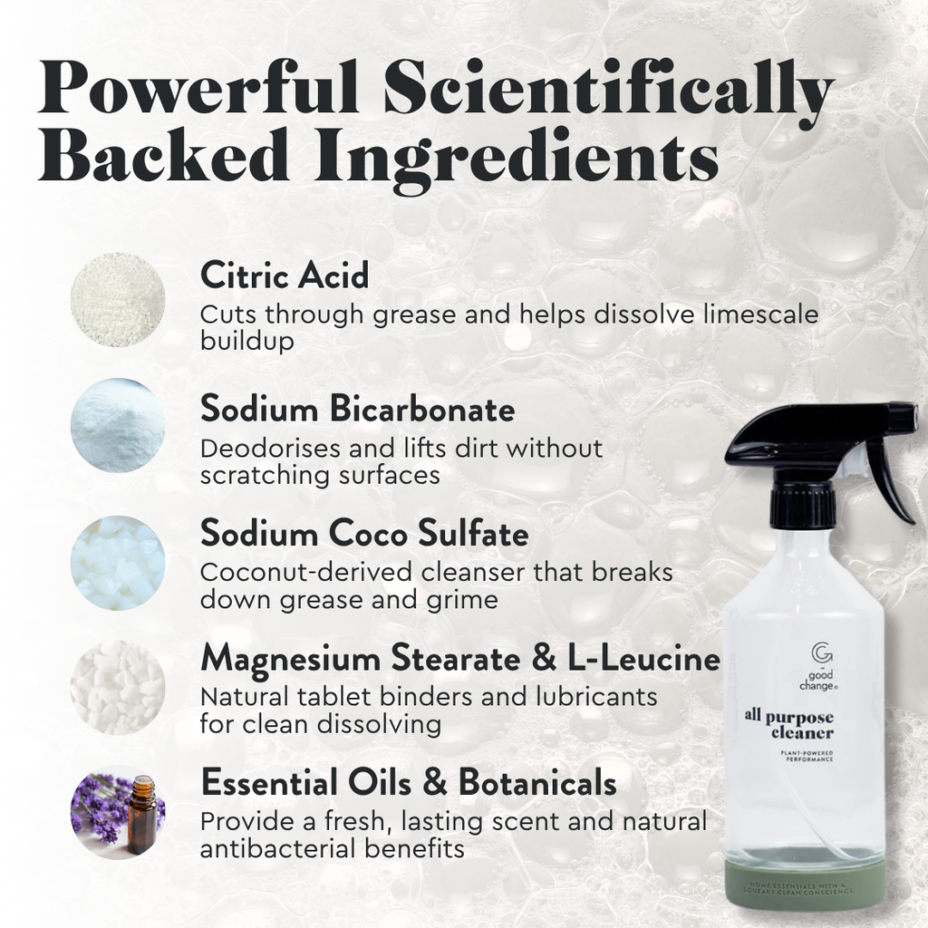 Fresh Start Cleaning Kit