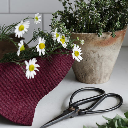 Coloured Eco Cloths